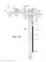 Fig. 08 - Apparatus and method for mounting a plumbing fixture