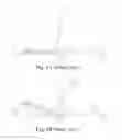 Fig. 02 - Method of making an electrical connection system