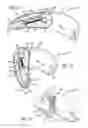 Fig. 08 - Pocket safety cutter