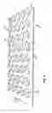 Fig. 09 - Ventilated structural panels and method of construction with ventilated structural panels