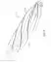 Fig. 08 - Snap Rolls with Helical Flutes for Corn Header