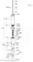 Fig. 01 - Testing stylus for testing keyboard of portable electronic device