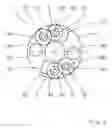 Fig. 03 - Transmission device having at least one shift element that can be actuated by means of an actuator