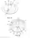 Fig. 08 - Apparatus, system, and method for scanning a surface