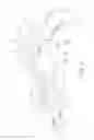 Fig. 04 - Angle adjustable handle for a hand tool