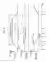 Fig. 06 - Transport device, recording apparatus, transport method