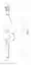 Fig. 06 - Flute