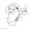 Fig. 01 - Sleep apnea headstrap apparatus