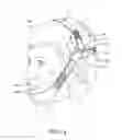 Fig. 04 - Sleep apnea headstrap apparatus