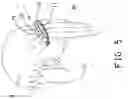 Fig. 04 - Barrette without spring member