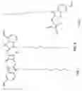 Fig. 04 - DYE-SENSITIZED SOLAR CELL