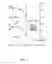 Fig. 02 - Electrodeposition of thin-film cells containing non-toxic elements