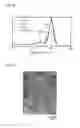 Fig. 09 - Surface-coated metal nanoparticles, method for producing the same, and metal nanoparticle paste comprising the same