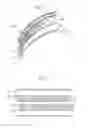 Fig. 05 - Compartmented strap-coiled bags