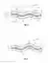 Fig. 06 - PROGRESSIVE TIRE MOLD ELEMENT WITH UNDULATION ON ITS UPPER MEMBER AND TIRE FORMED BY THE SAME