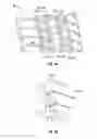 Fig. 08 - PROGRESSIVE TIRE MOLD ELEMENT WITH UNDULATION ON ITS UPPER MEMBER AND TIRE FORMED BY THE SAME