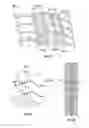 Fig. 09 - PROGRESSIVE TIRE MOLD ELEMENT WITH UNDULATION ON ITS UPPER MEMBER AND TIRE FORMED BY THE SAME