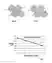 Fig. 02 - Delivery of particulate material below ground