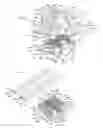 Fig. 04 - GROMMET ASSEMBLY