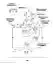 Fig. 02 - Perforated graphene deionization or desalination