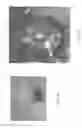 Fig. 02 - Water treatment and revitalization system and method