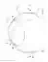 Fig. 02 - Container lid