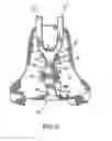 Fig. 04 - Bag with self-adjusting straps