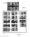 Fig. 06 - Multiple barcode detection system and method