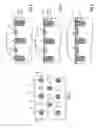 Fig. 02 - PRESSURE ROLLER