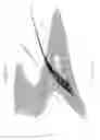 Fig. 16 - Modular articulated-wing aircraft
