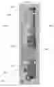 Fig. 02 - WALL QUICK MOUNTING DEVICE