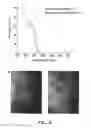 Fig. 16 - Materials, systems and methods for optoelectronic devices