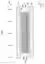 Fig. 07 - Radiation detector, radiographic imaging device, and method of fabricating radiation detector