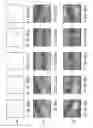 Fig. 09 - SYSTEMS, METHODS AND COMPUTER-ACCESSIBLE MEDIA FOR HYPERSPECTRAL EXCITATION-RESOLVED FLUORESCENCE TOMOGRAPHY
