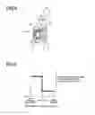 Fig. 04 - Flow control valve