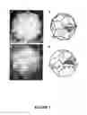 Fig. 02 - Quasicrystalline structures and uses thereof