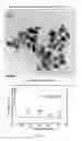 Fig. 02 - Method of controlling shape of synthesized ferroelectric oxide nanocrystal particles