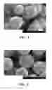 Fig. 02 - Silver particles and a process for making them