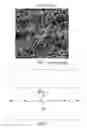 Fig. 02 - Formation of a vicinal semiconductor-carbon alloy surface and a graphene layer thereupon