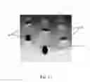Fig. 09 - Method for making an apertured web
