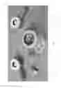Fig. 02 - Action game apparatus and method