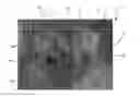 Fig. 01 - Cube puzzle game