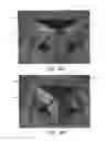Fig. 36 - Cube puzzle game