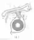 Fig. 08 - Sunshade assembly for a vehicle