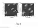 Fig. 07 - Microwave diffraction system