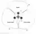 Fig. 01 - Directional antennas and antenna selection for wireless terminal