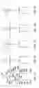 Fig. 11 - Gesture recognizer system architecture