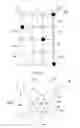 Fig. 23 - Electronic Device and the Input and Output of Data
