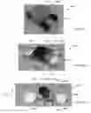 Fig. 35 - Electronic Device and the Input and Output of Data