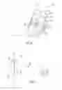 Fig. 46 - Electronic Device and the Input and Output of Data